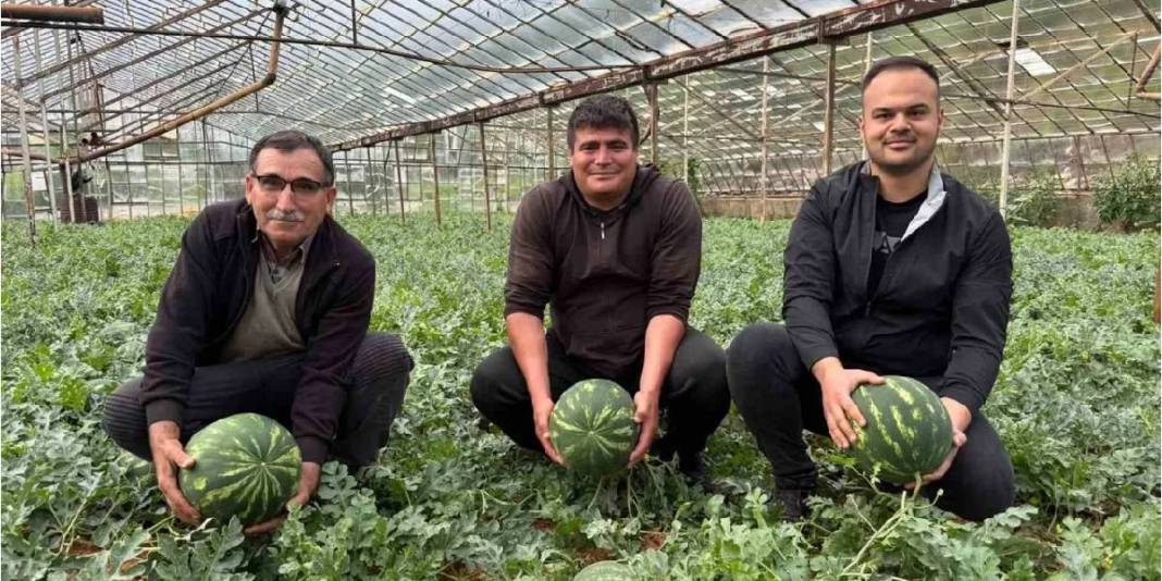 1.5 dönümden 9 ton ürün bekleniyor: Karpuz hasadı için heyecan başladı 1